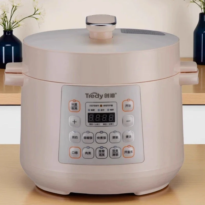 Elektrischer Schnellkochtopf,  – Smart Instant Pressure Cooker Bewertung und Preis
